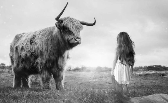 Ein Kind steht vor einem Stier