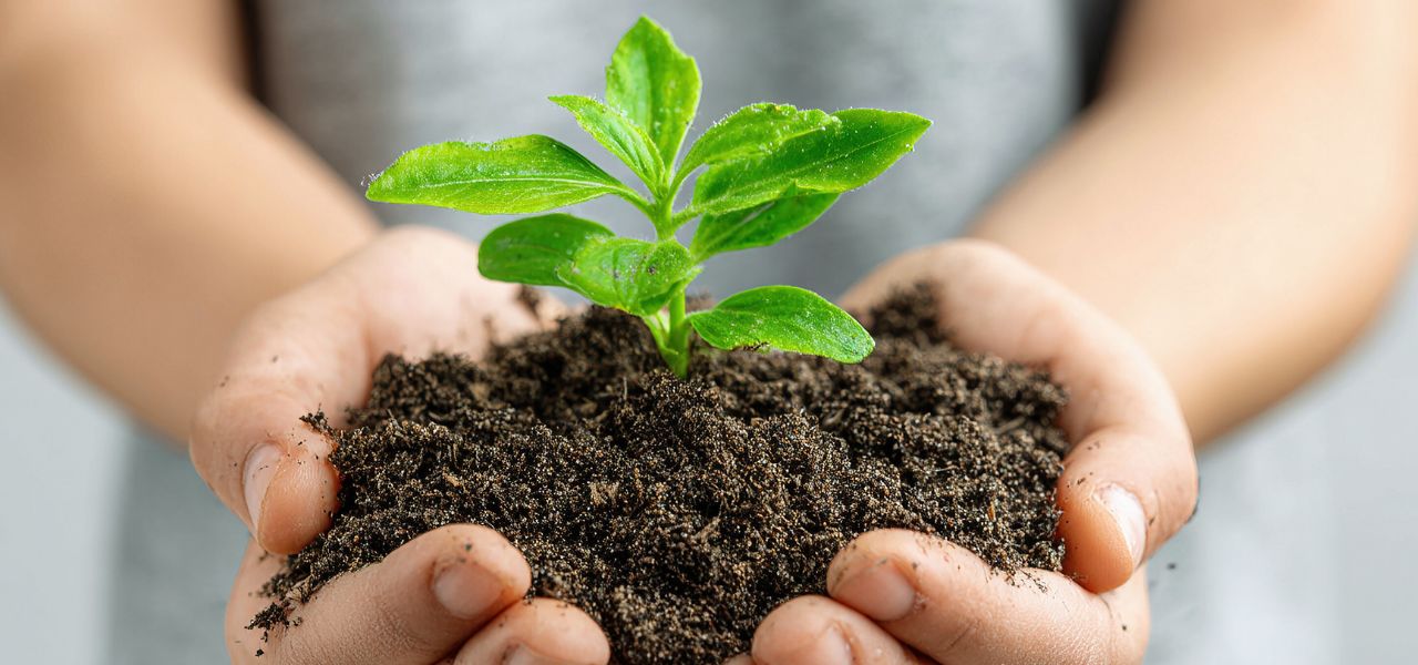 Gedanken zum Klimawandel – Teil 2