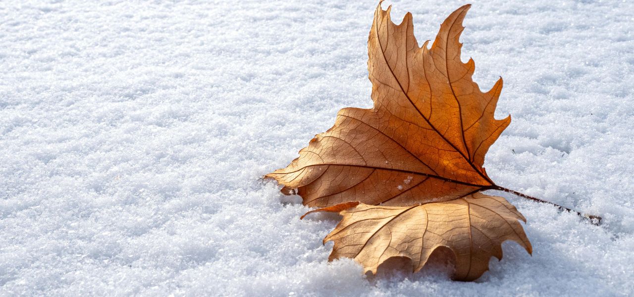 Vergänglichkeit berührt – 3 Perspektiven – Teil 2